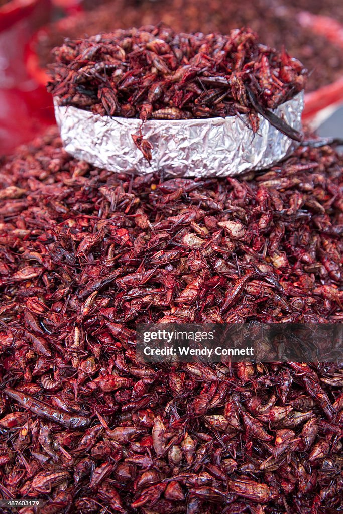 Fried grasshoppers, Mexico