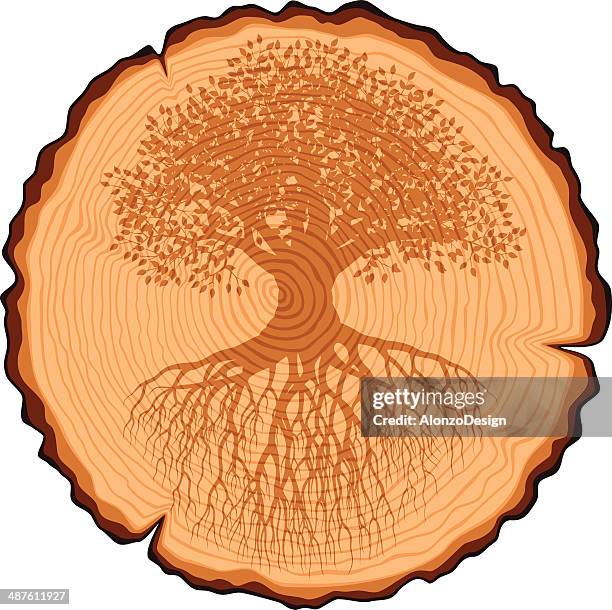 wooden cross abschnitt und alter baum mit wurzeln - tree rings stock-grafiken, -clipart, -cartoons und -symbole