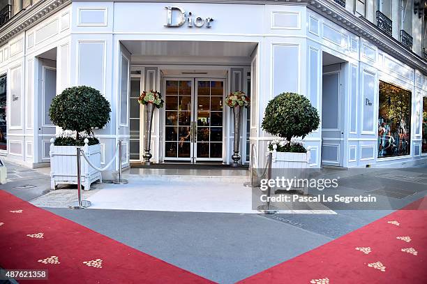 Illustration view of the 'Vendanges Montaigne 2015' at Dior at Avenue Montaigne on September 10, 2015 in Paris, France.