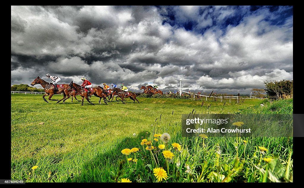 Punchestown Races