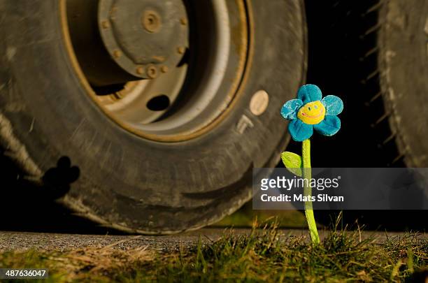 smile flower and a truck wheel - fake smile ストックフォトと画像