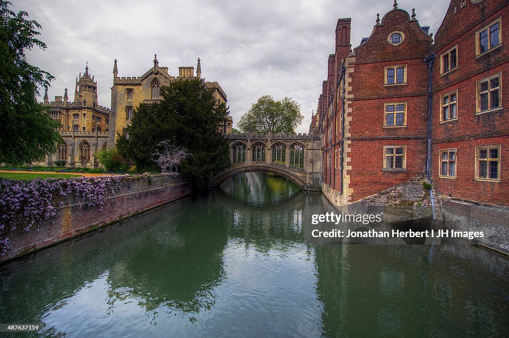 Bridge of Signs Cambridge