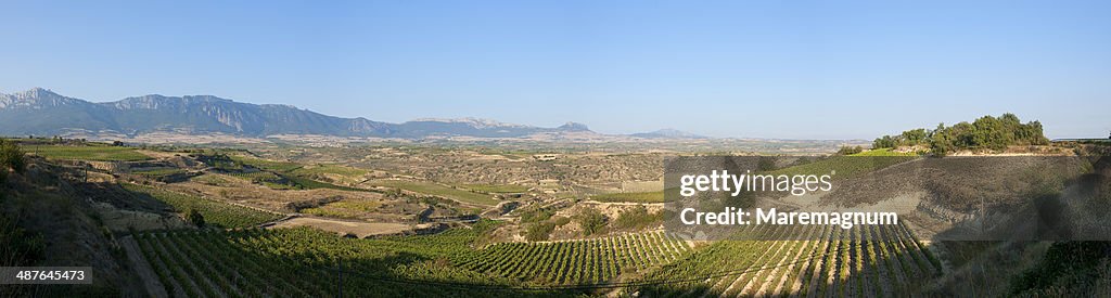 Landscape near Laguardia