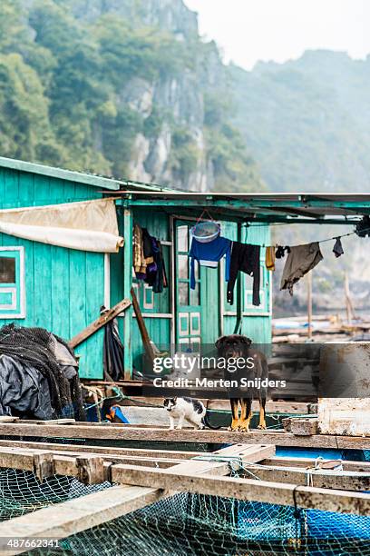 floating fishing village at ha long bay - fishing village 個照片及圖片檔