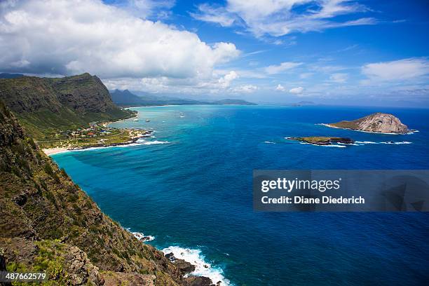 view from makapu'u point, oahu - diane diederich stock-fotos und bilder