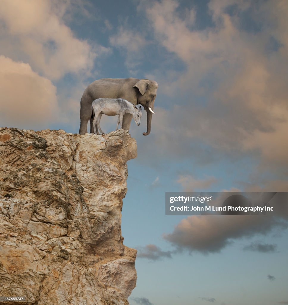 Elephant and donkey looking over edge of cliff