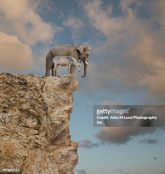 elephant and donkey looking over edge of cliff - republikanische partei stock-fotos und bilder