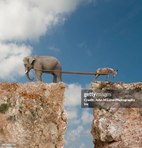 elephant and donkey playing tug-of-war over steep cliff - bipartisanship imagens e fotografias de stock