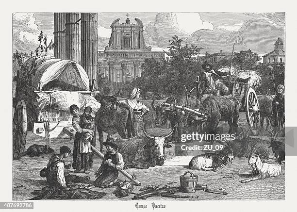 stockillustraties, clipart, cartoons en iconen met campo vaccino, roman forum in the past, published in 1878 - horse cart