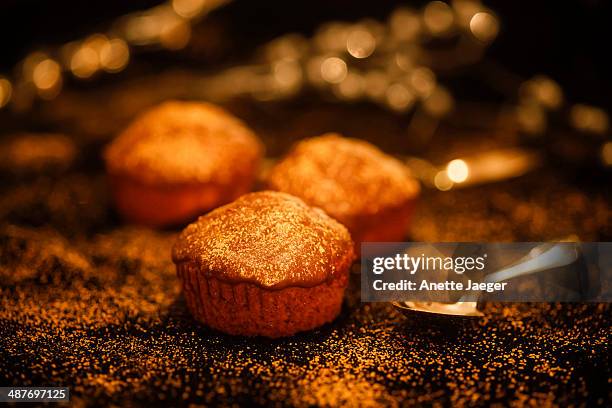 chocolate muffins - anette jaeger fotografías e imágenes de stock