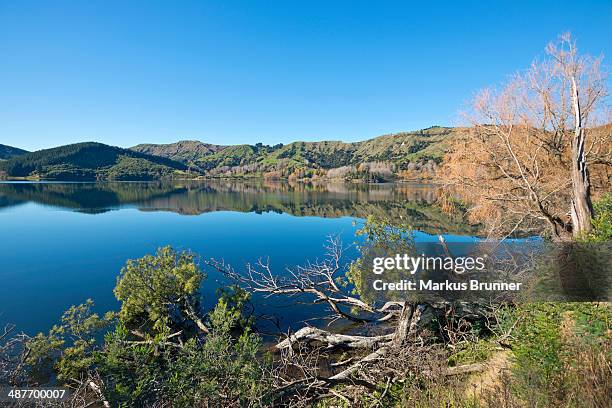 lake horowhenua, near levin, manawatu-wanganui region, north island, new zealand - manawatu wanganui region stock pictures, royalty-free photos & images