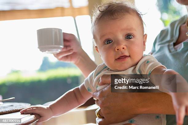 caucasian mother holding baby at breakfast - baby cup fotografías e imágenes de stock
