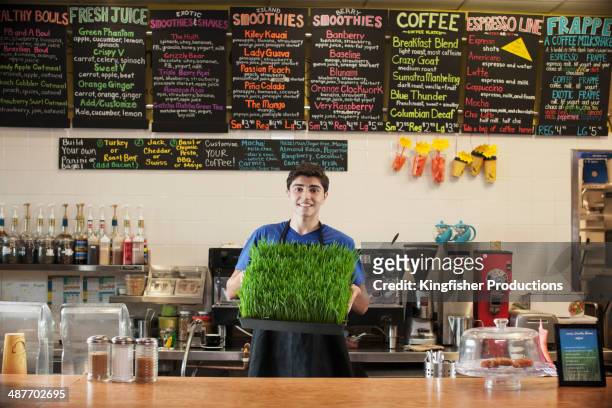 hispanic teenage boy holding fresh wheatgrass in cafe - wheatgrass stock pictures, royalty-free photos & images