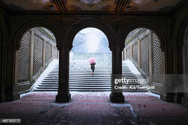 asian woman walking up steps into snow - central park manhattan fotografías e imágenes de stock