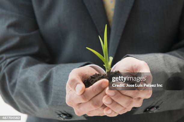 chinese businessman holding seedling - hohle hände stock-fotos und bilder