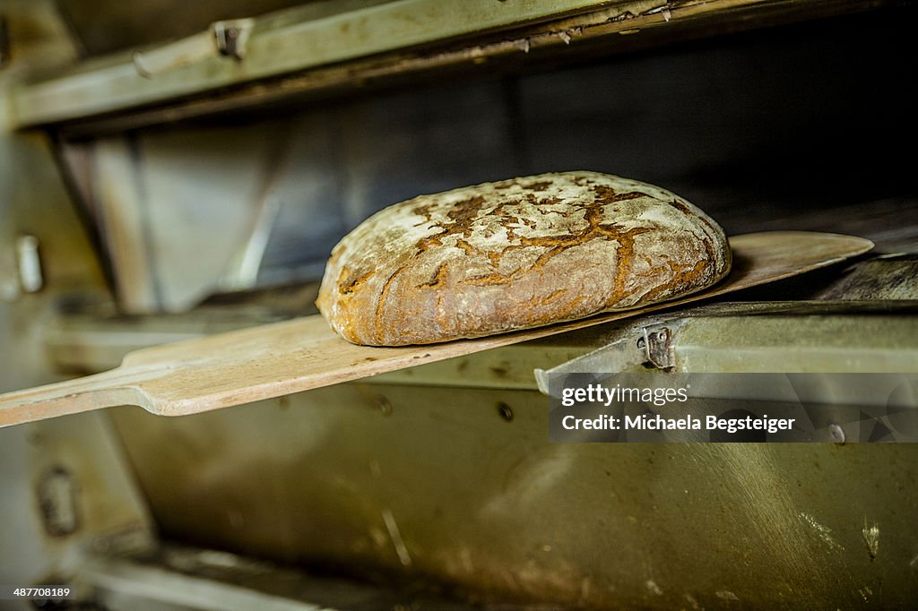 Bread, fresh from the oven