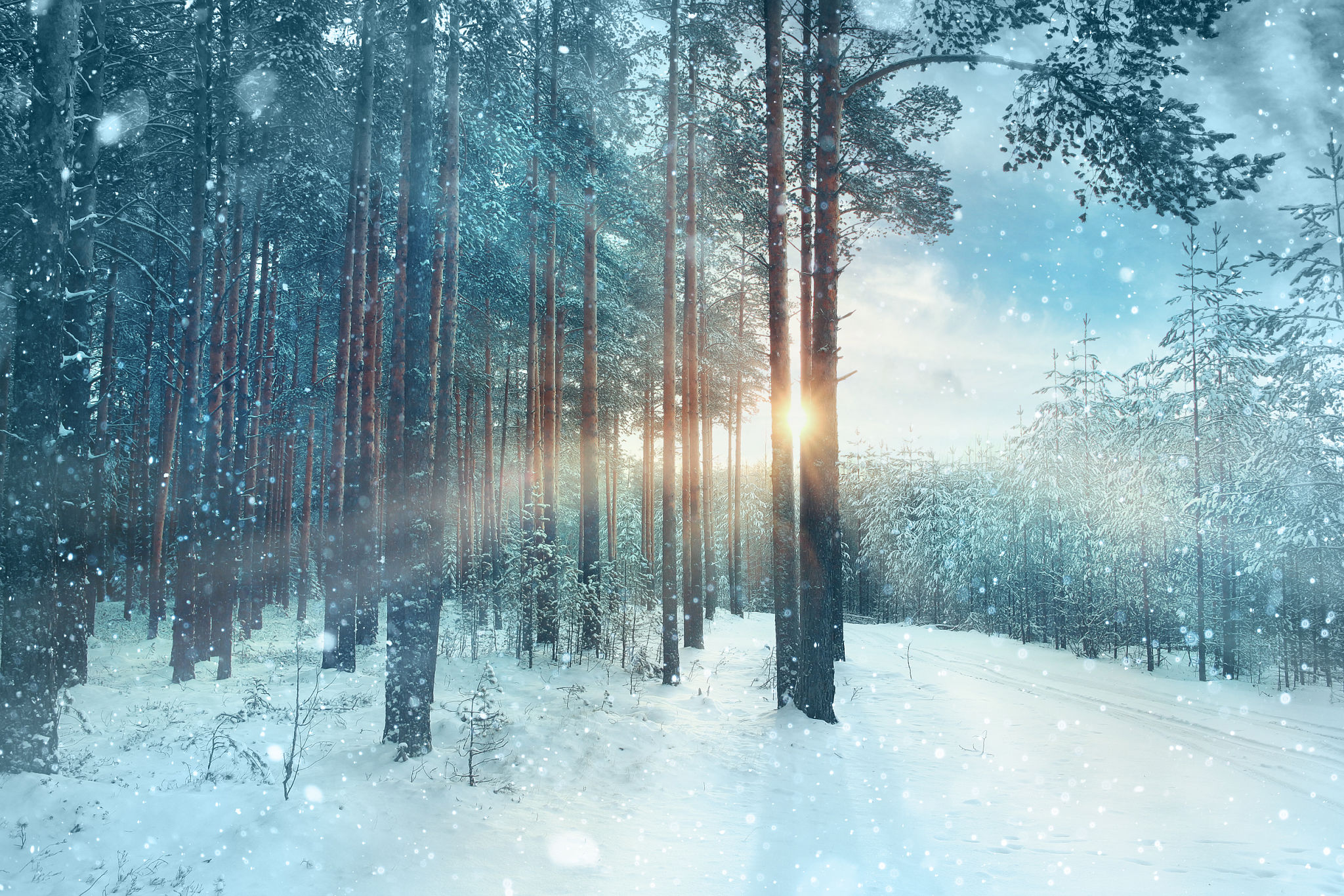 sweden winter