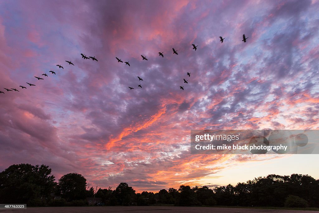 Sunset Sky Clouds and Geese