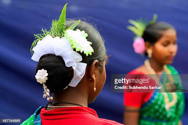 Santhali women dressed for a festive celebration. The Santhal are the largest tribal community in India. They have a distinct culture of their own,...