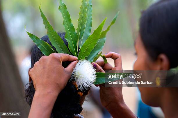 Santhali woman helps another to prepare her hairdo during a festive celebration. The Santhal are the largest tribal community in India. They have a...