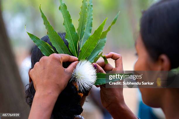 Santhali woman helps another to prepare her hairdo during a festive celebration. The Santhal are the largest tribal community in India. They have a...