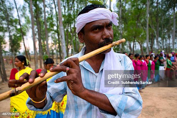 Santhal man plays flute. The Santhal are the largest tribal community in India. They have a distinct culture of their own, mainly reflected in...