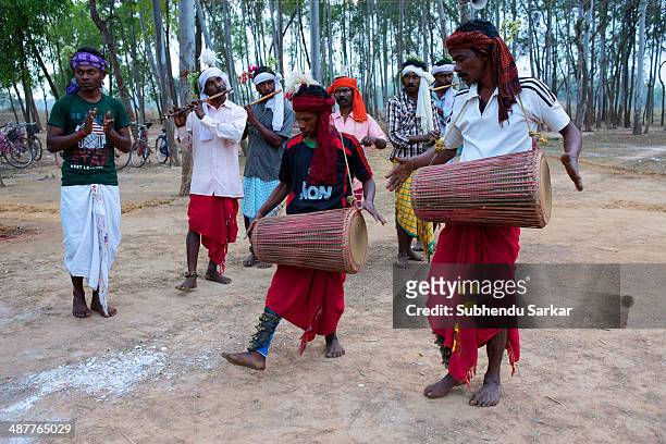 Santhal men play drums during a festive celebration. The Santhal are the largest tribal community in India. They have a distinct culture of their...