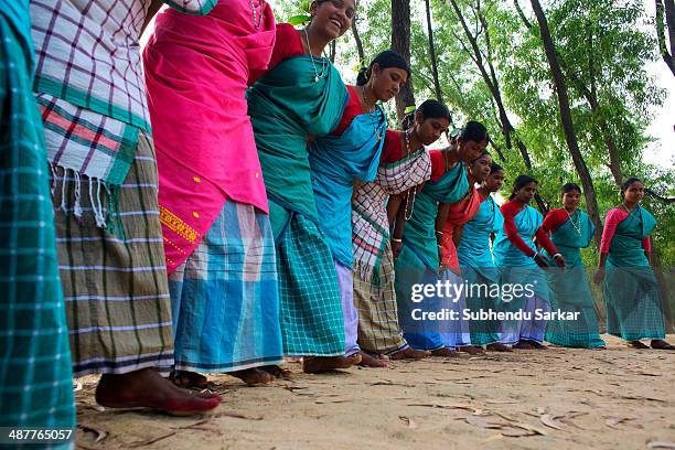 Santhali women dancing in a group. The Santhal are the largest tribal community in India. They have a distinct culture of their own, mainly reflected...