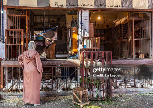 chicken stall in marrakech souk, morocco - kooi stockfoto's en -beelden