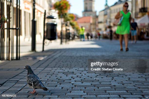 A565 44 A565 Road Stock Photos, High-Res Pictures, and Images - Getty Images