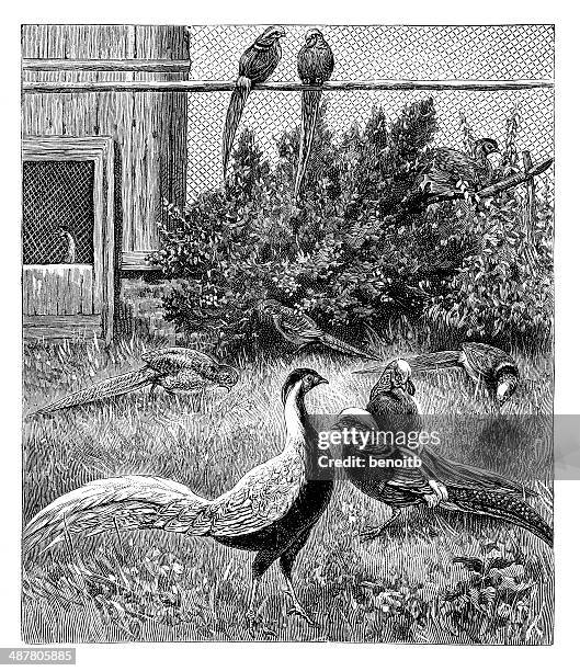 45点の動物園 柵イラスト素材 Getty Images 45点の動物園 柵イラスト素材 Getty Images