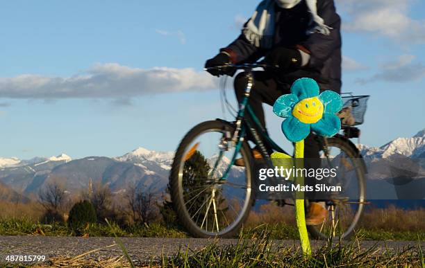 smile flower and a bicycle - fake smile stock-fotos und bilder