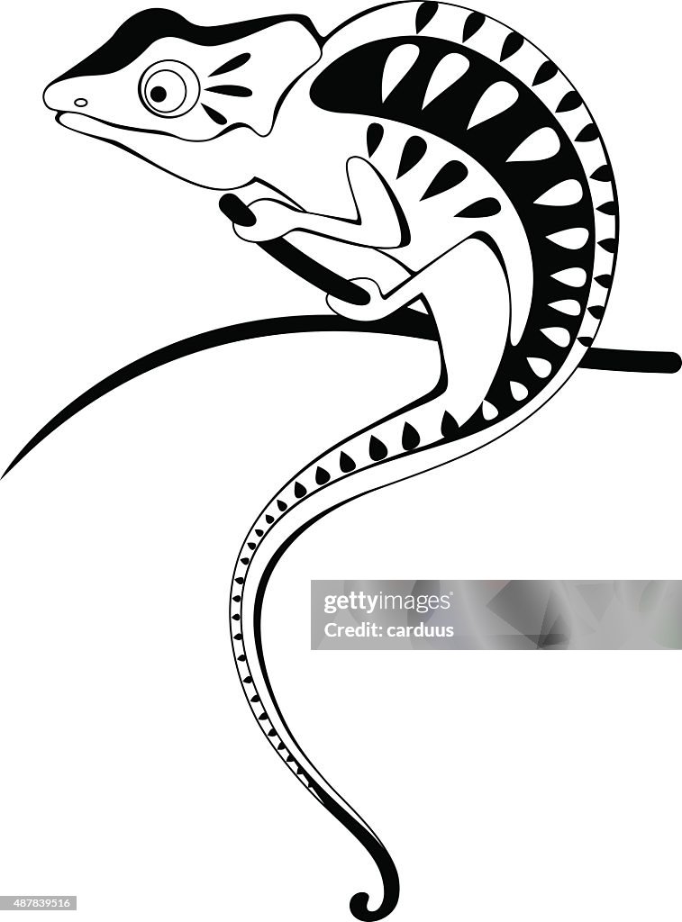 Chameleon