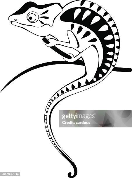 chameleon - desert safari stock illustrations