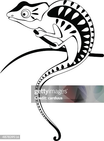 Chameleon Chameleon
