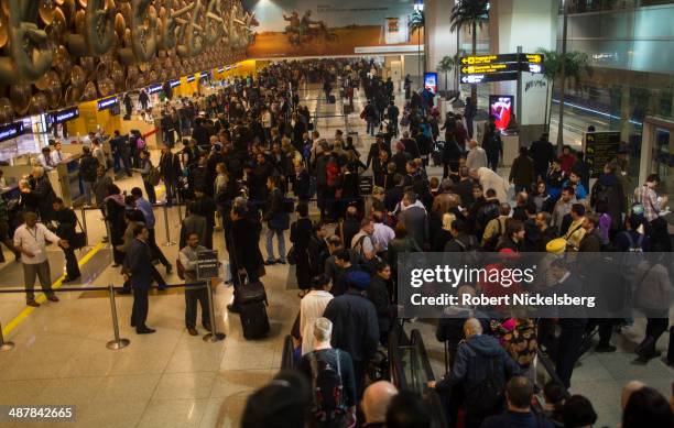 Airline passengers wait in line at immigration and passport control February 19, 2014 at Indira Gandhi International Airport in New Delhi, India.