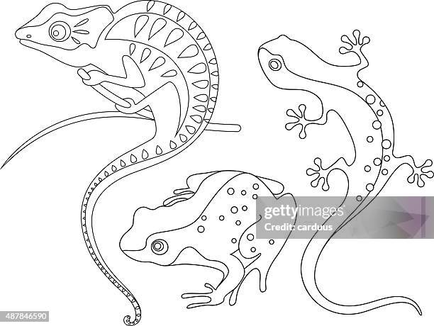 illustrations, cliparts, dessins animés et icônes de reptiles - chameleon fond blanc