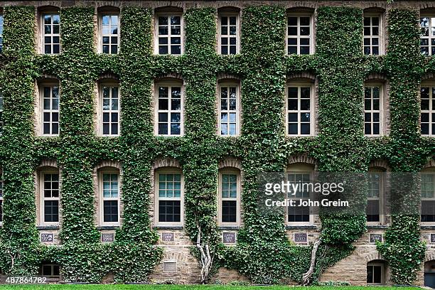 Nassau Hall ivy, Princeton University Campus.