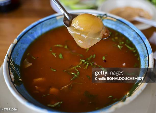 Soup Golfina turtle egg-soup is pictured in a restaurant in Juchitan, Oaxaca State, Mexico, on September 10, 2015. Members of the Federal...