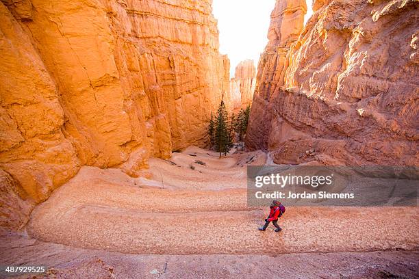 hiking in bryce canyon - bryce canyon stock pictures, royalty-free photos & images