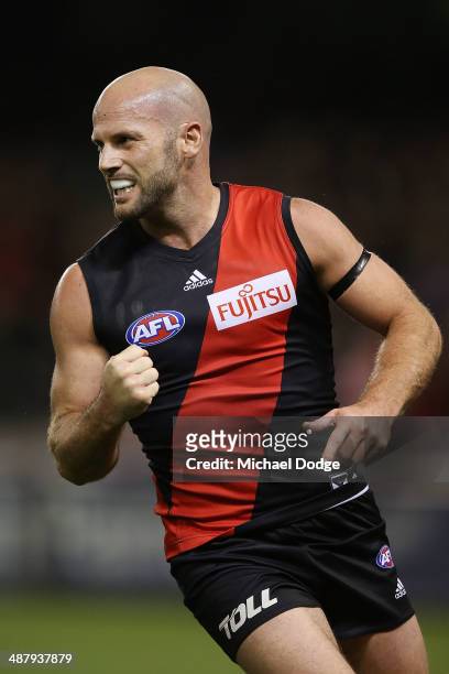 Paul Chapman of the Bombers celebrates a goal during the round seven AFL match between the Essendon Bombers and the Western Bulldogs at Etihad...