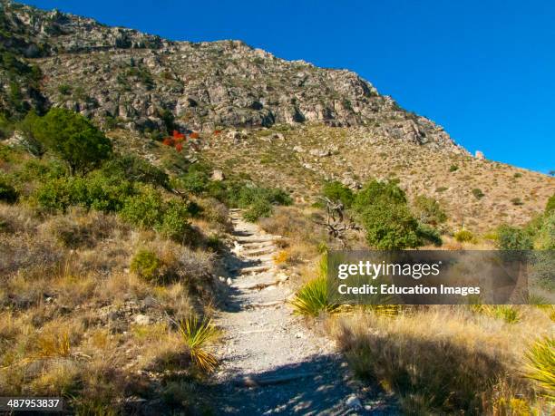 North America, USA, Texas, Guadalupe Mountain National Park Guadalupe Peak Scenic Trail, .