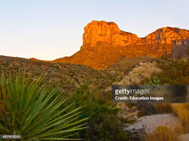 North America, USA, Texas, Guadalupe Mountain National Park El Capitan Prominence.