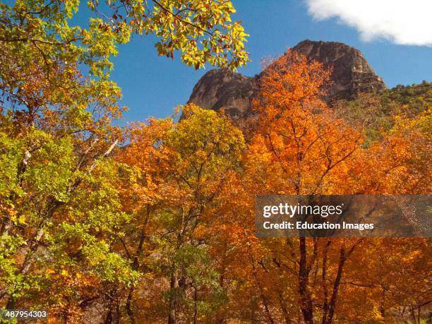 North America, USA, Texas, Guadalupe Mountain National Park, McKittrick Canyon Scenic Hiking Trail spectacular Fall Scenery.