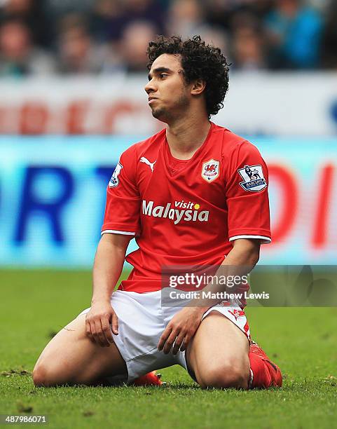 Fabio da Silva of Cardiff City looks dejected during the Barclays Premier League match between Newcastle United and Cardiff City at St James' Park on...