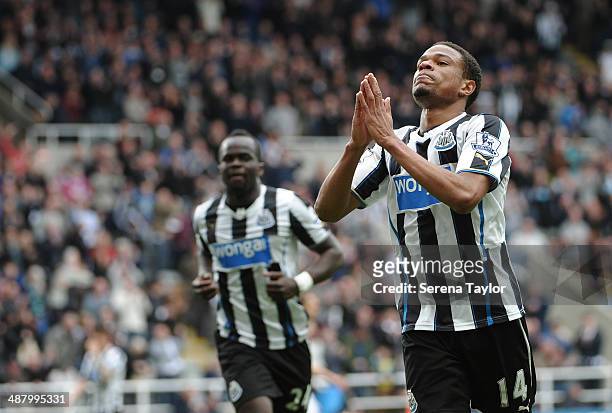Loic Remy of Newcastle celebrates after scoring the second goal during the Barclays Premier League match between Newcastle United and Cardiff City at...