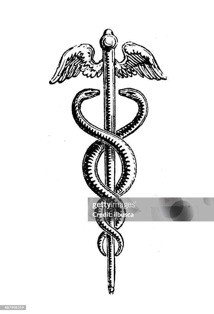 Antique illustration of caduceus (staff carried by Hermes)