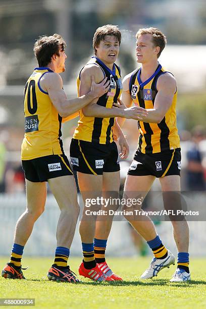 Clint Jones of Sandringham celebrates a goal during the VFL Semi Final match between Sandringham and Collingwood at North Port Oval on September 13,...