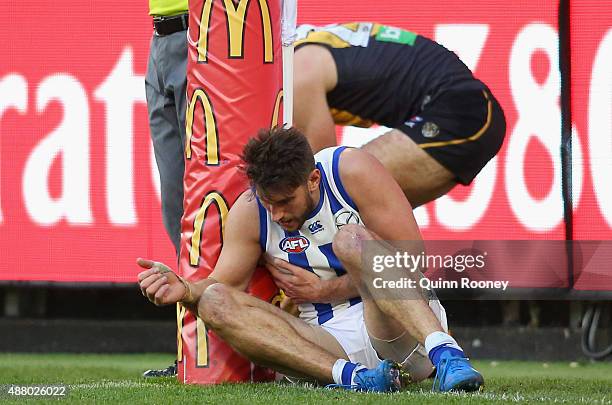 Jarrad Waite of the Kangaroos collides with the goal post during the First AFL Elimination Final match between the Richmond Tigers and the North...