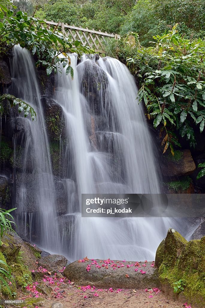 Monserrate Gardens Waterfall